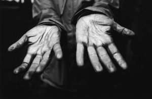 My hands, gilded. Photograph Tom Rodgers 2012.